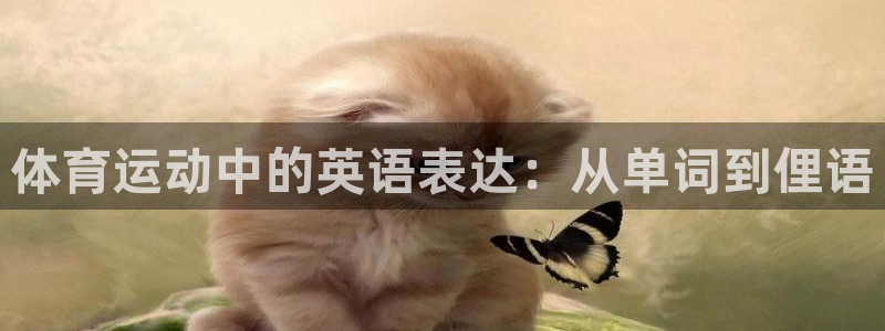 米兰体育在线：体育运动中的英语表达：从单词到俚语