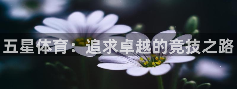 米兰体育网页版登录：五星体育：追求卓越的竞技之路