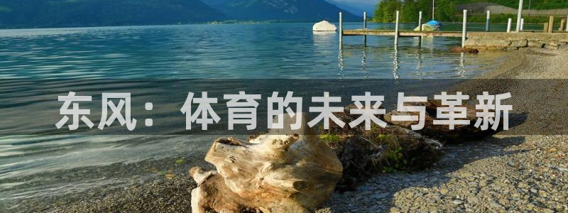 米兰体育下载：东风：体育的未来与革新