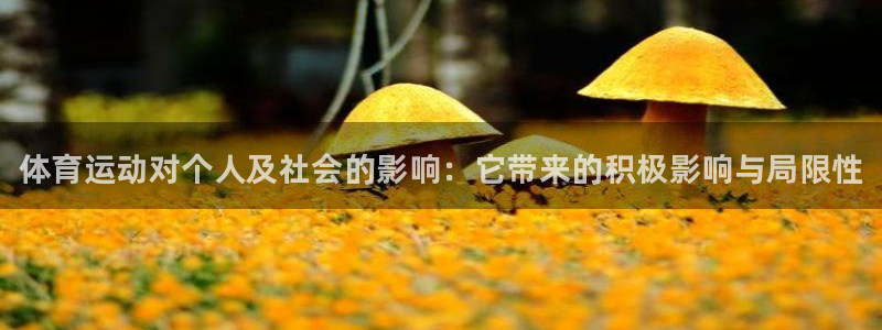 米兰体育：体育运动对个人及社会的影响：它带来的积极影响与局限性