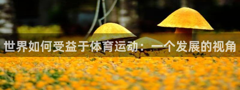 米兰体育app下载
