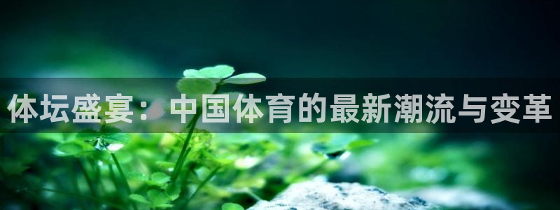 米兰体育场：体坛盛宴：中国体育的最新潮流与变革