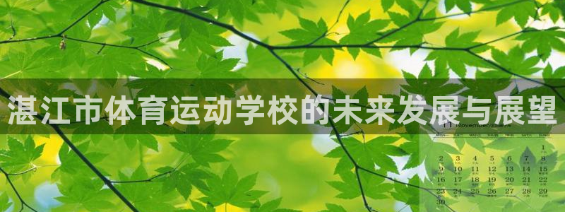 米兰体育下载：湛江市体育运动学校的未来发展与展望
