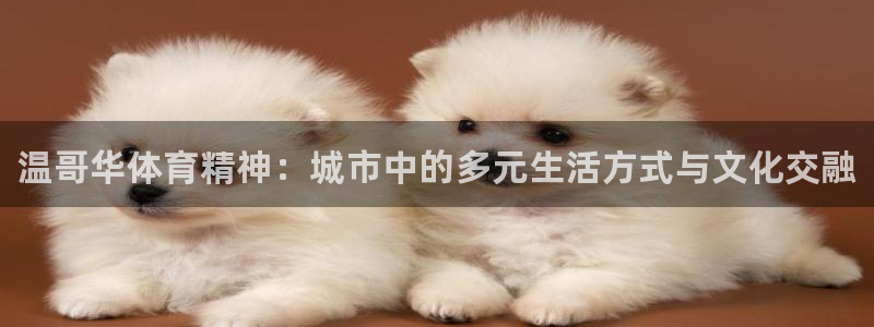 米兰体育登录：温哥华体育精神：城市中的多元生活方式与文化交融