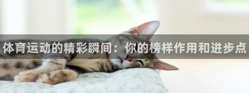 米兰体育网页版：体育运动的精彩瞬间：你的榜样作用和进步点
