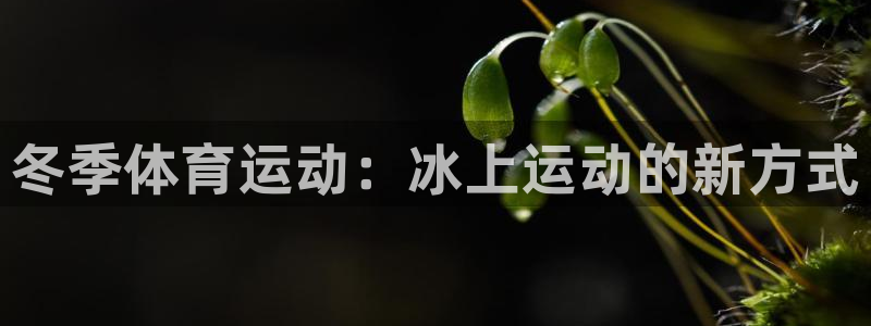米兰体育app下载：冬季体育运动：冰上运动的新方式