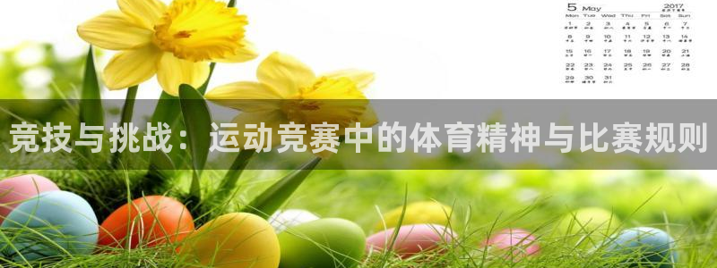 米兰体育官方下载入口：竞技与挑战：运动竞赛中的体育精神与比赛规则