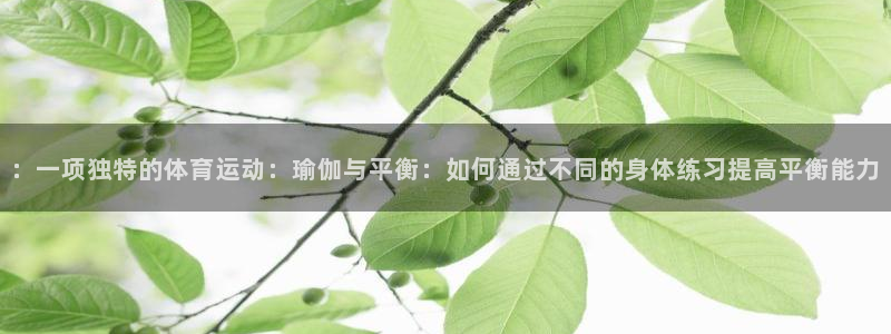 米兰体育网页版：：一项独特的体育运动：瑜伽与平衡：如何通过不同的身体练习提高平衡能力