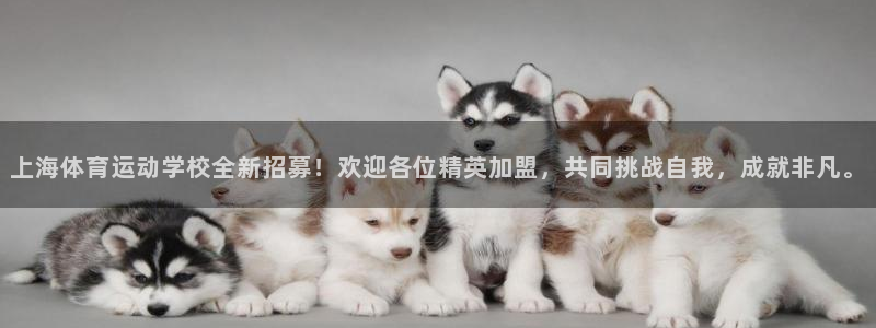 米兰体育报官网：上海体育运动学校全新招募！欢迎各位精英加盟，共同挑战自我，成就非凡。