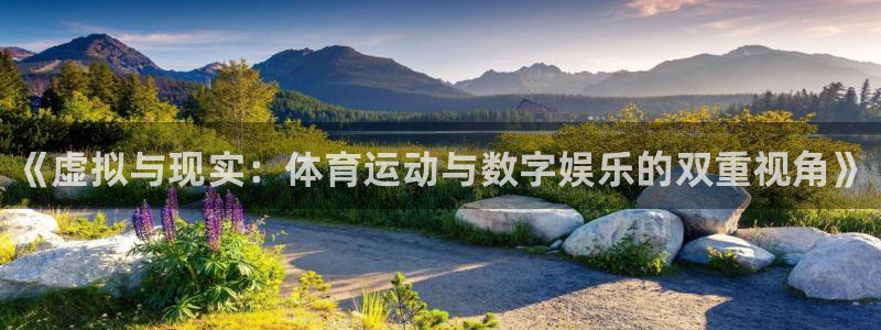米兰体育网页版登录：《虚拟与现实：体育运动与数字娱乐的双重视角》
