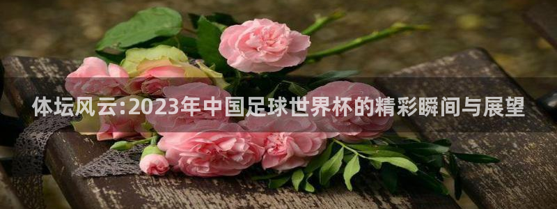 米兰体育网站：体坛风云:2023年中国足球世界杯的精彩瞬间与展望