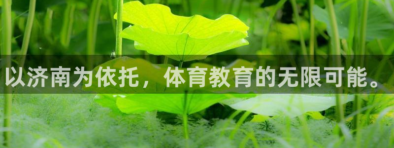 米兰体育下载官网最新版：以济南为依托，体育教育的无限可能。