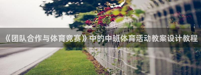 米兰体育报官网：《团队合作与体育竞赛》中的中班体育活动教案设计教程