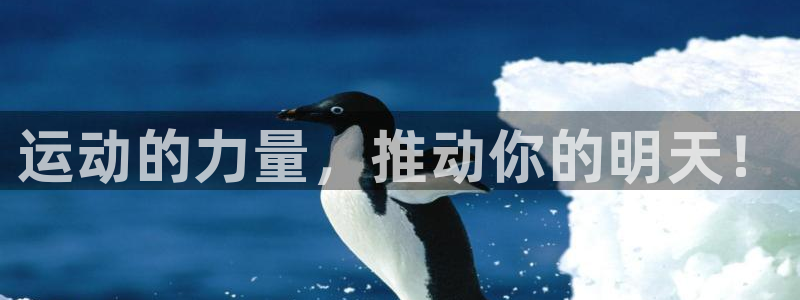 米兰体育app：运动的力量，推动你的明天！