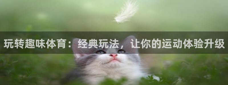 米兰体育登录：玩转趣味体育：经典玩法，让你的运动体验升级