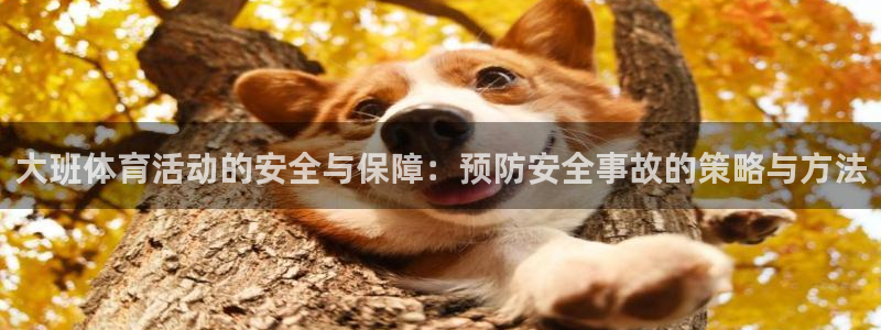米兰体育入口：大班体育活动的安全与保障：预防安全事故的策略与方法