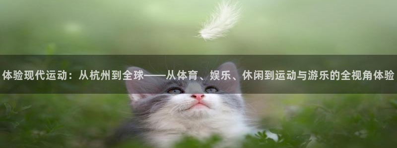 米兰体育网页版登录：体验现代运动：从杭州到全球——从体育、娱乐、休闲到运动与游乐的全视角体验