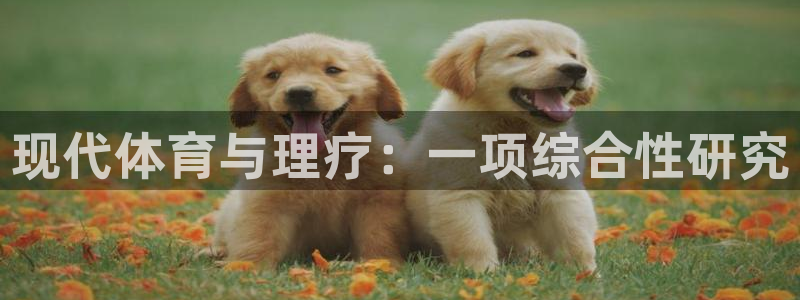 米兰体育app：现代体育与理疗：一项综合性研究