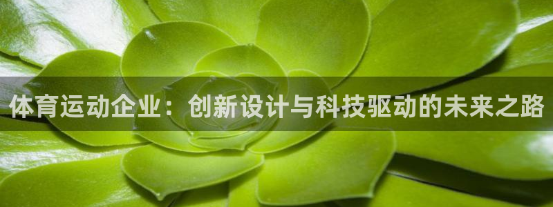 米兰体育app：体育运动企业：创新设计与科技驱动的未来之路