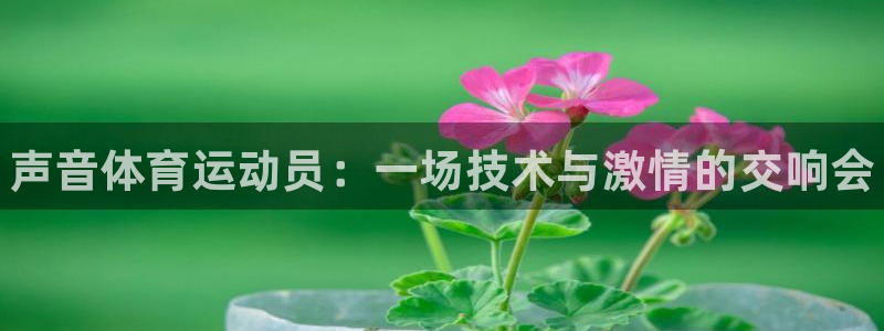 米兰体育报：声音体育运动员：一场技术与激情的交响会