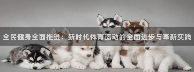 米兰体育下载官网最新版