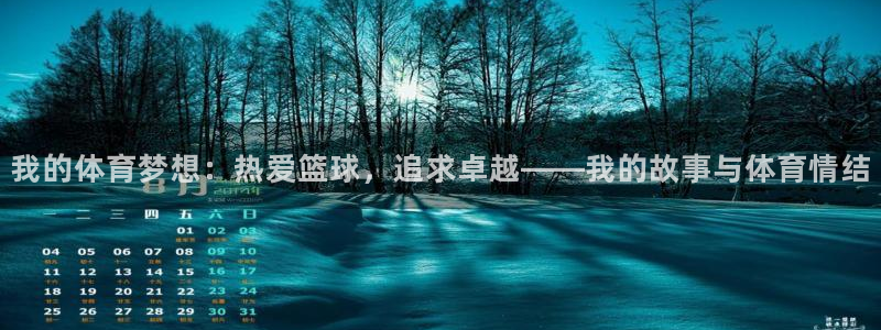 米兰体育网页版：我的体育梦想：热爱篮球，追求卓越——我的故事与体育情结