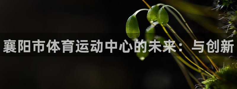 米兰体育：襄阳市体育运动中心的未来：与创新