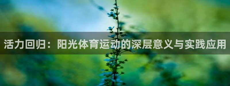 米兰体育最新版下载：活力回归：阳光体育运动的深层意义与实践应用